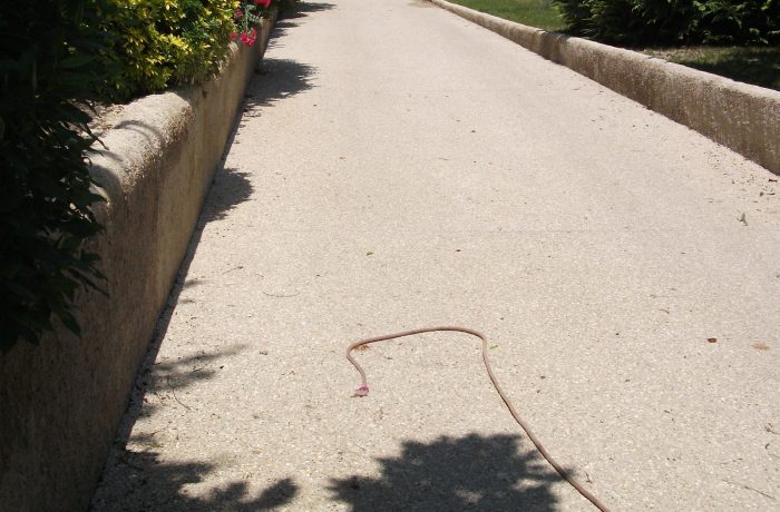 Aménagement d’allée de jardin